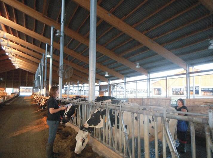 Uplatňování specifického kontrolního protokolu krav v rozdoji dvěma zootechniky