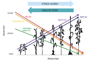 Změna obsahu živin během vývoje a stárnutí rostliny (Van Saun, 2003)