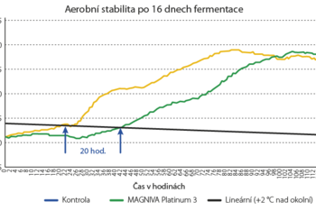 Graf č. 3 - Prodloužení aerobní stability travní siláže po 16 dnech fermentace. Kontrola vs. ošetřená hmota MAGNIVA Platinum 3 (Lallemand 2020).