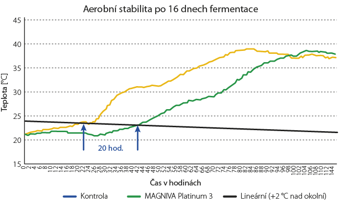 Graf č. 3 - Prodloužení aerobní stability travní siláže po 16 dnech fermentace. Kontrola vs. ošetřená hmota MAGNIVA Platinum 3 (Lallemand 2020).
