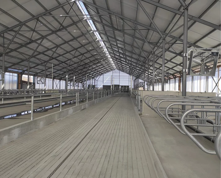 Chov holsteinského dobytka : MIKROP