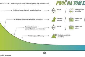 Obrázek č. 1 – Inhibice nežádoucích mikroorganismů při řízené fermentaci (zdroj: Lallemand).