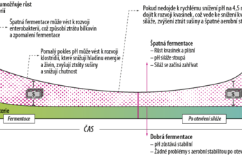 Obrázek č. 2 – Ztráty způsobené špatnou fermentací (zdroj: Lallemand).