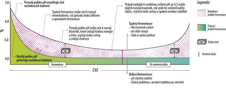 Obrázek č. 2 – Ztráty způsobené špatnou fermentací (zdroj: Lallemand).