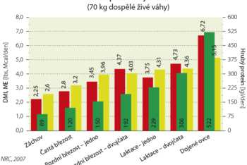 V grafu je nástin nutričních požadavků ovcí dle NRC, 2007.