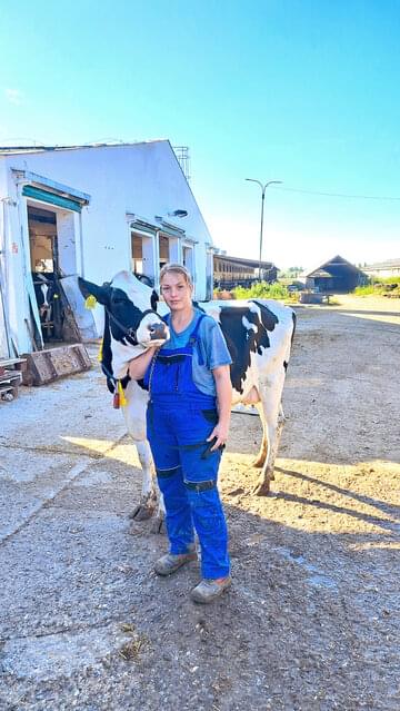 Nácvik vodenia vybraných kráv na Šampionát holsteinského plemena SR