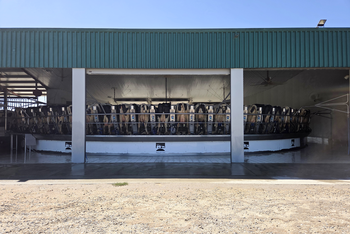 Kruhová dojírna se otáčí po celý den