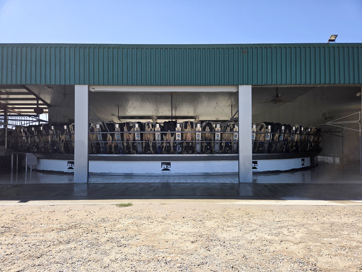 Kruhová dojírna se otáčí po celý den