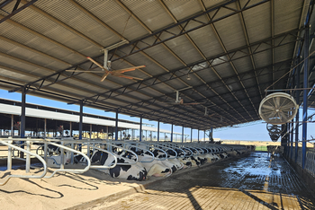 Čistota, pohoda a spokojené krávy