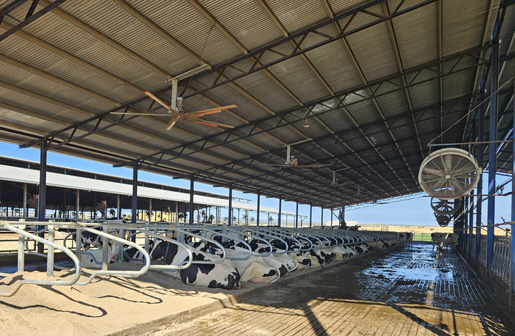 Čistota, pohoda a spokojené krávy